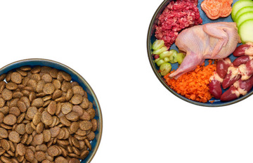 Koirien ruokinta webinaarit